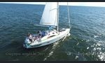 Bavaria 44 Vision-kuva-8